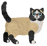 Rebel's The Uninvited Thirteenth at Nightwish — “Pax”