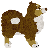 TaigaPaws Tranquil Sky at Wolf Hollow — “Nila”