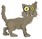 Cymophane Plaza de la Constitución — “Aviles”