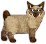 Profile image of Heaven Denied Kings and Orders