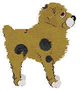 Aura's Black Watch Plaid — “Plaid”