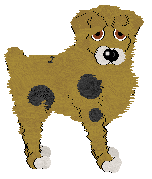 Aura's Black Watch Plaid — “Plaid”