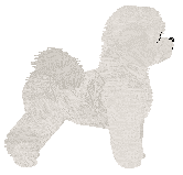 Emicake's Lovebug — “Bug”