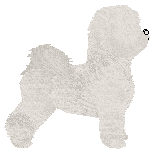 Novablue Silver Key — “Princess”