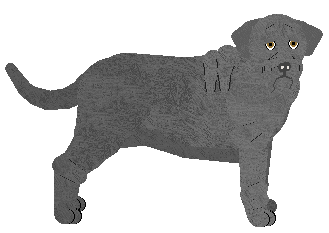 Profile image of Dragosani RAISSA