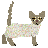 Macabre's Twice Shy — “Ballet”