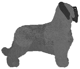 Novablue I took A Bullet For You — “Linda”