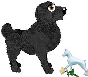 Profile image of EC's The Pressure