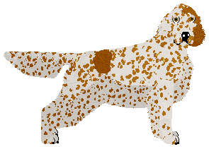 Profile image of Dragosani FABRYKA CZEKOLADY