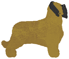 Novablue You're Still In My Heart — “Lucifer”