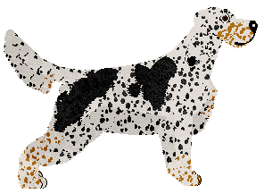 Dragosani GERALD Z RIVII — “Geralt”