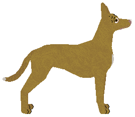 Dragosani REVENGE OF THE BEAST — “Idis”