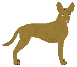 Profile image of Dragosani REVENGE OF THE BEAST