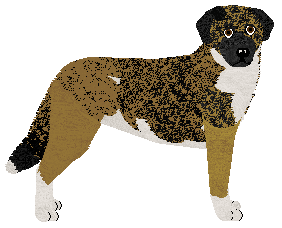 Profile image of StarTrek PERFECT MAN