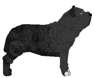 Dragosani LHOTSE of My Vertical World — “Lhotse”