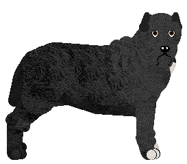 Profile image of Dragosani LHOTSE of My Vertical World