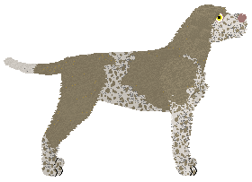 Dragosani EPICRATES — “Nadia”