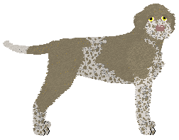 Profile image of Dragosani EPICRATES