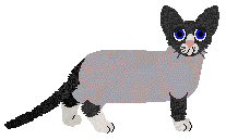 Macabre's Blissfully Unaware — “Oddball”