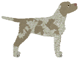 Dragosani PIERWSZA POWIEŚĆ — “Carrie”