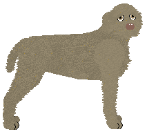 Profile image of Dragosani GOOD WILL