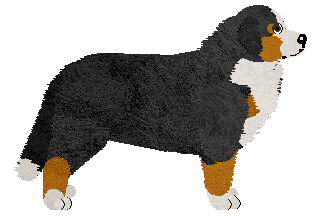 Profile image of Nugat at Tricolor Dream