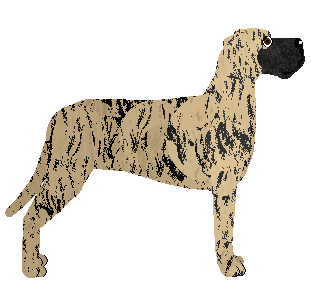 PANTERA of Harpagon — “Pantera”