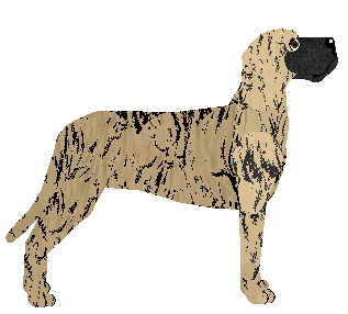 PANTERA of Harpagon — “Pantera”