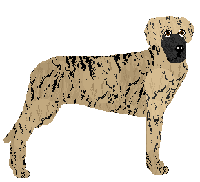 Profile image of PANTERA of Harpagon