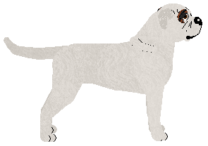 Energizing TOTALNY SEBIX — “Seba”