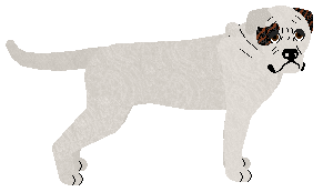 Profile image of Energizing TOTALNY SEBIX