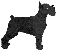 Bearded Force Spa Day — “Spa”