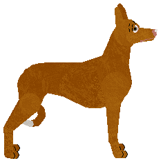 Dragosani FANTASTIC BEAST — “Newt”