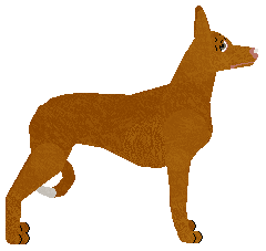 Dragosani FANTASTIC BEAST — “Newt”