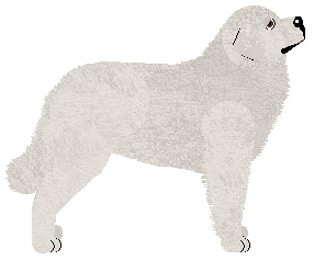 Oakley's Reinkarnacja — “Tatra”