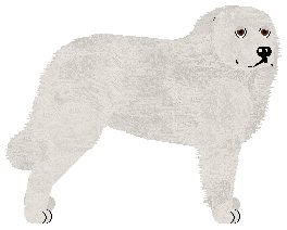 Profile image of Oakley's Reinkarnacja