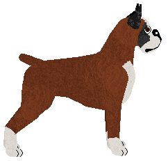 Energizing Top Topless — “Topika”