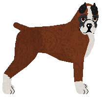 Profile image of Energizing Top Topless