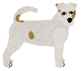 Profile image of Dragosani MULTIUNIVERSUM