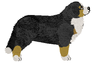 Esta at Tricolor Dream — “Tusia”