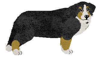 Profile image of Esta at Tricolor Dream