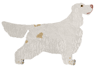 Dragosani GASZERBRUM of My Vertical World — “Flash”