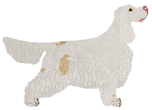 Dragosani GASZERBRUM of My Vertical World — “Flash”