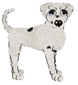 Faded/King's Delicate Tea — “Lotus”