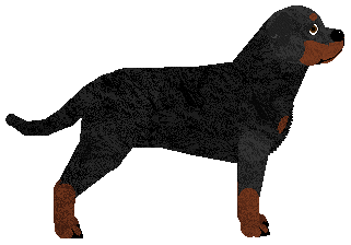 Energizing Kate — “Kate”