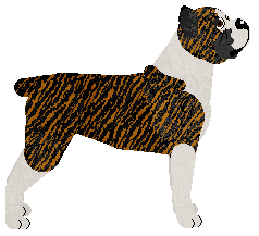 Energizing Looney Tones — “Lola”