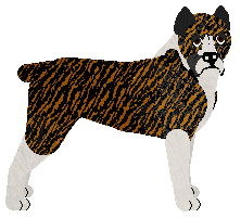 Profile image of Energizing Looney Tones