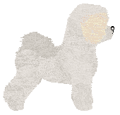 Trinkets BEZ SŁÓW — “Hawranek”