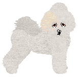 Profile image of Trinkets BEZ SŁÓW