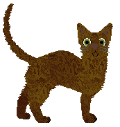 Glitterfeet's Hat Full of Stars — “Lauper”